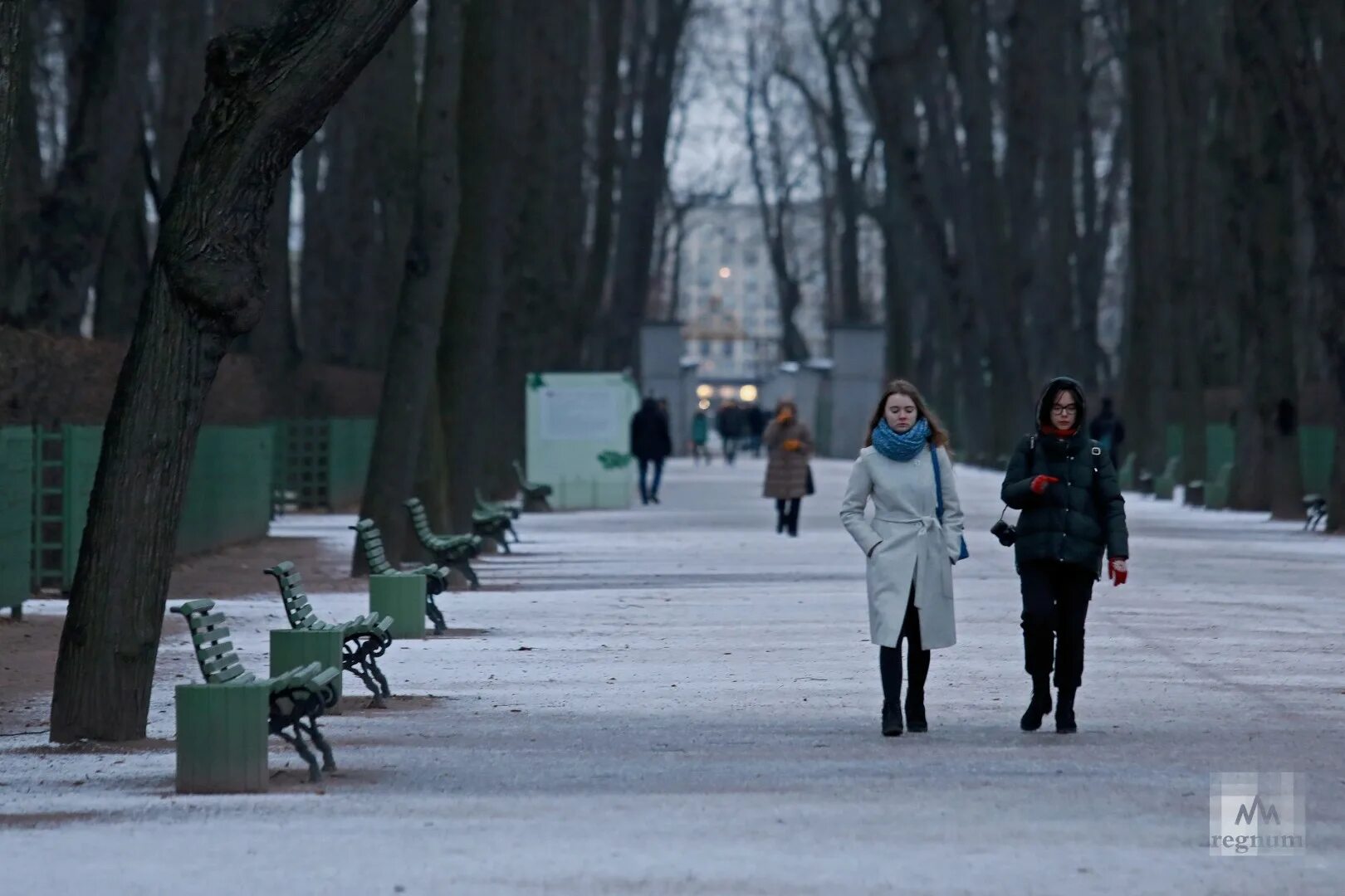 Бесснежная зима в Москве 2019-2020. Бесснежная зима в городе. Бесснежная зима в Москве. Аномально теплая зима 2019-2020.