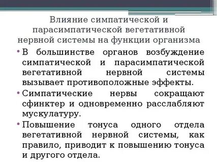 При возбуждении парасимпатической нервной системы