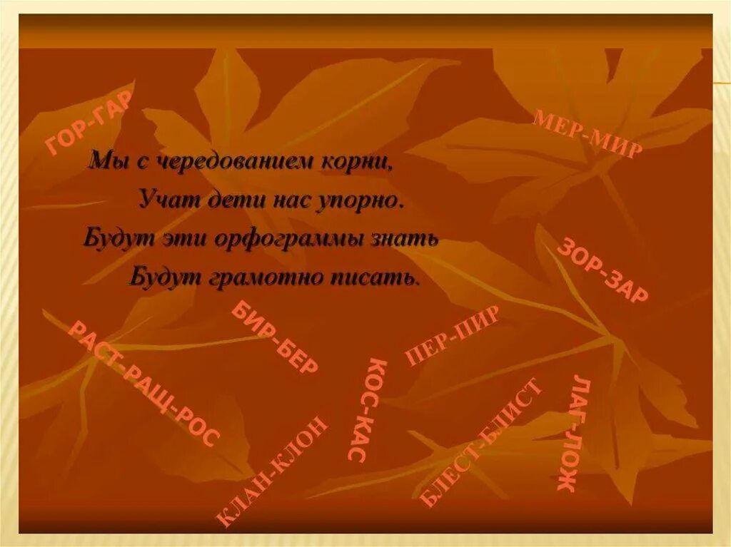 Состав слова закрепление. Стихи на корни с чередованием. Учащиеся корень. Аллея корень. Корни слов в русском языке.