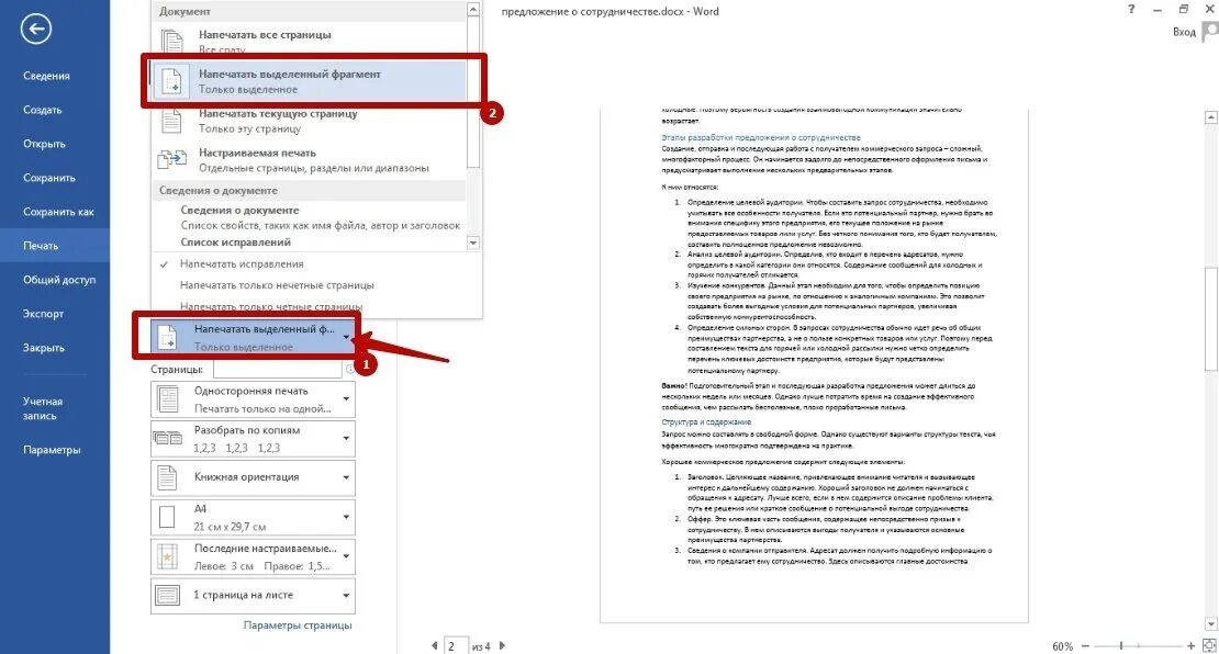 Как распечатать одну страницу в ворде. Напечатать выделенный фрагмент. Как напечатать выделенный фрагмент в Word. Как распечатать выделенный фрагмент. Печать выделенного фрагмента в Word.