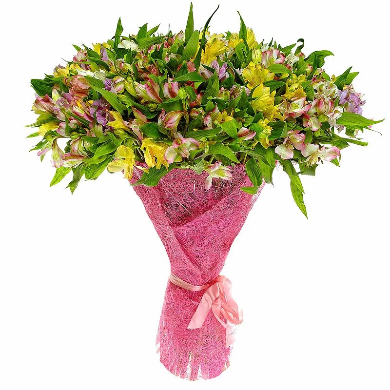 Букет нежность. Букеты цветов мосцветторг. Мосцветторг 24. Мосцветторг эвкалипт. Заказать букет цветов с доставкой в москве недорого мосцветторг.