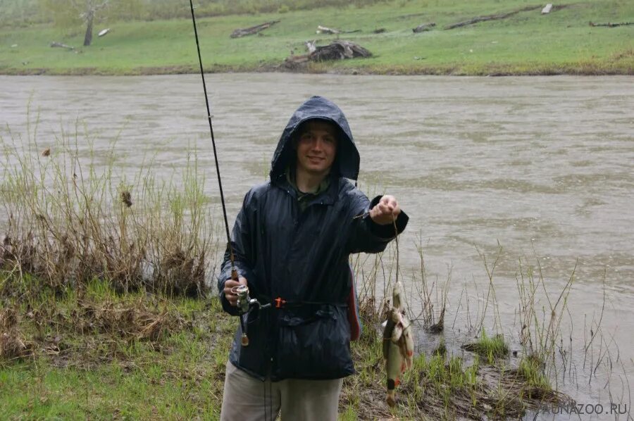 Ловить погоду. Рыбалка в дождь. Рыбалка в непогоду. Рыбак в дождь. Ветер, дождь рыбалка.