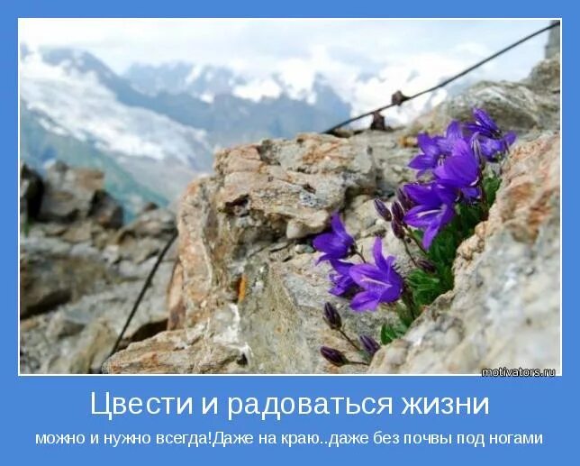 Радуешься какое время. Нужно жить и радоваться жизни. Мотиватор радоваться жизни. Мотиватор цветы. Жить и наслаждаться жизнью цитаты.