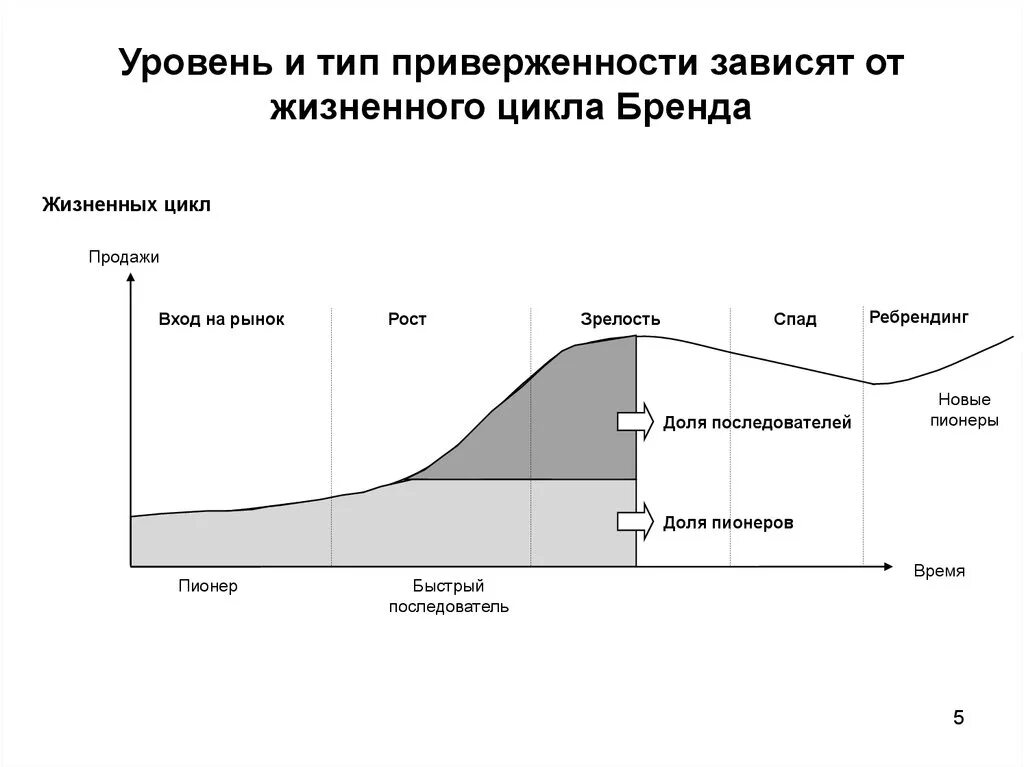 Цикл из 5 этапов. Этапы жизненного цикла бренда. Жизненный цикл бренда стадии развития. Жизненный цикл бренда график. Стадия жизненного цикла марки.