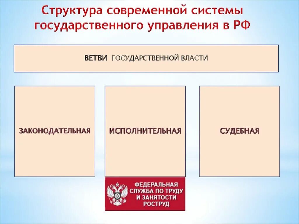 Роструд обязанности. Структура федеральной службы по труду и занятости. структура роструда схема. федеральная служба по труду и занятости роструд структура. роструд функции.