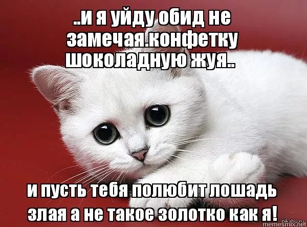 Даю конфетку. Хочешь конфетку мем. Дай конфетку как скажут. Конфеты зло. Дай конфетку как скажут.