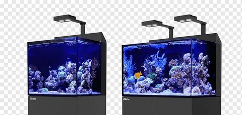Aqua s отзывы