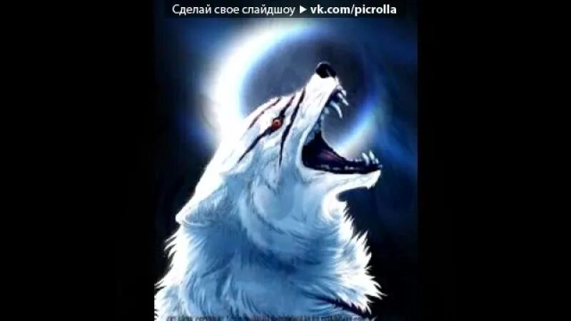 Песня волк свою свободу. Песня волк свою свободу. Волки с надписями. Песня волк свою свободу. Песня волк свою свободу.