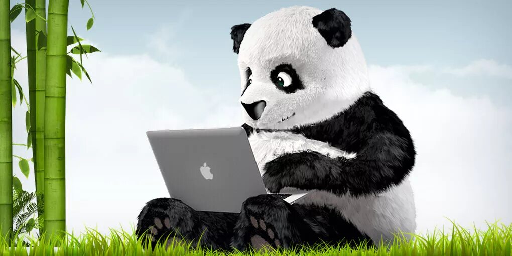 Включи новую панду. Компьютер с изображением панды. Панда с компьютером. Панда за компьютером. Панда за ноутбуком.