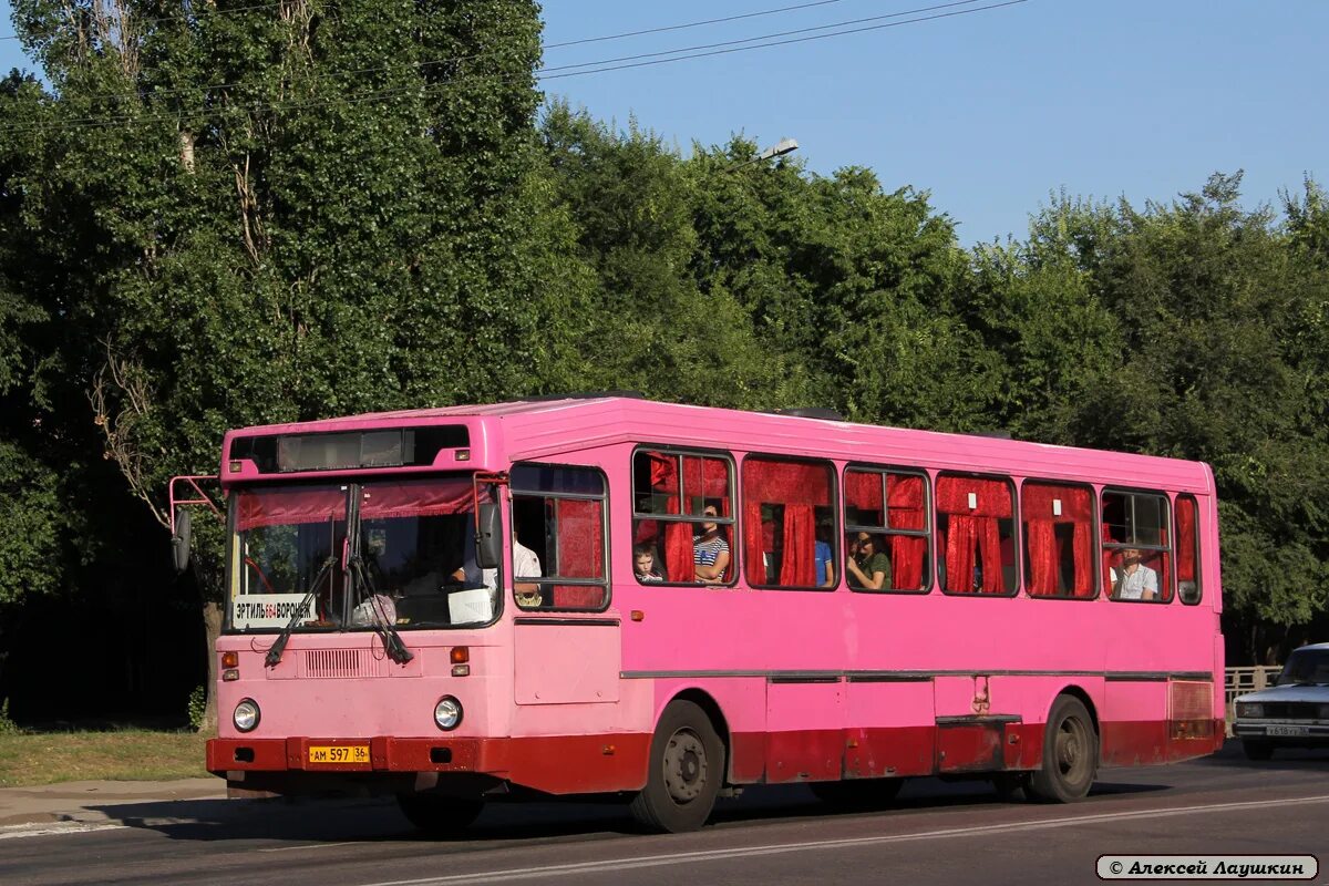 ЛИАЗ 52563 ГОЛАЗ. ЛИАЗ 621321-0000010. Фотобус Воронеж. Воронежская область Фотобус. Маршрут 66 автобуса воронеж