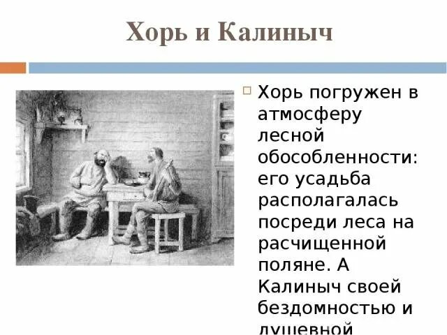 Составить сравнительную характеристику хоря и калиныча