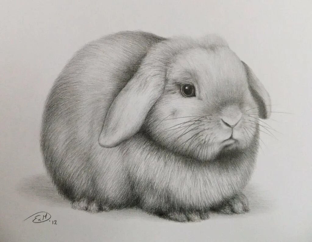 Нарисовать кролика карандашом. Животные карандашом. Кролик карандашом. Рисунки карандашом животные. Заяц карандашом.