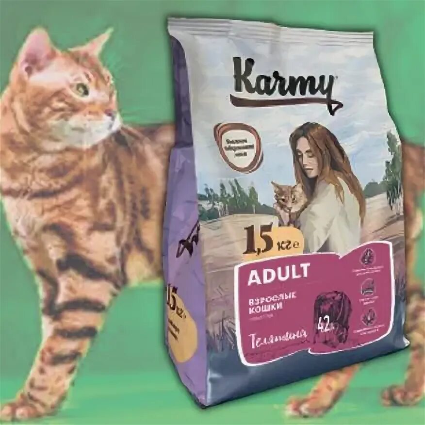 Сухой корм karmy для кошек. Карми Эдалт телятина для кошек. Корм для кошек karmy телятина 1 кг. Корм karmy для кошек премиум класса.