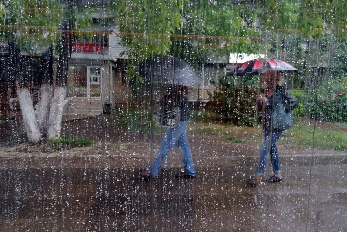 Вечером пройдет майский дождь и прогремит. Весна гроза. Дерево дождь. "дождливый вечер". Дождь в лесу.