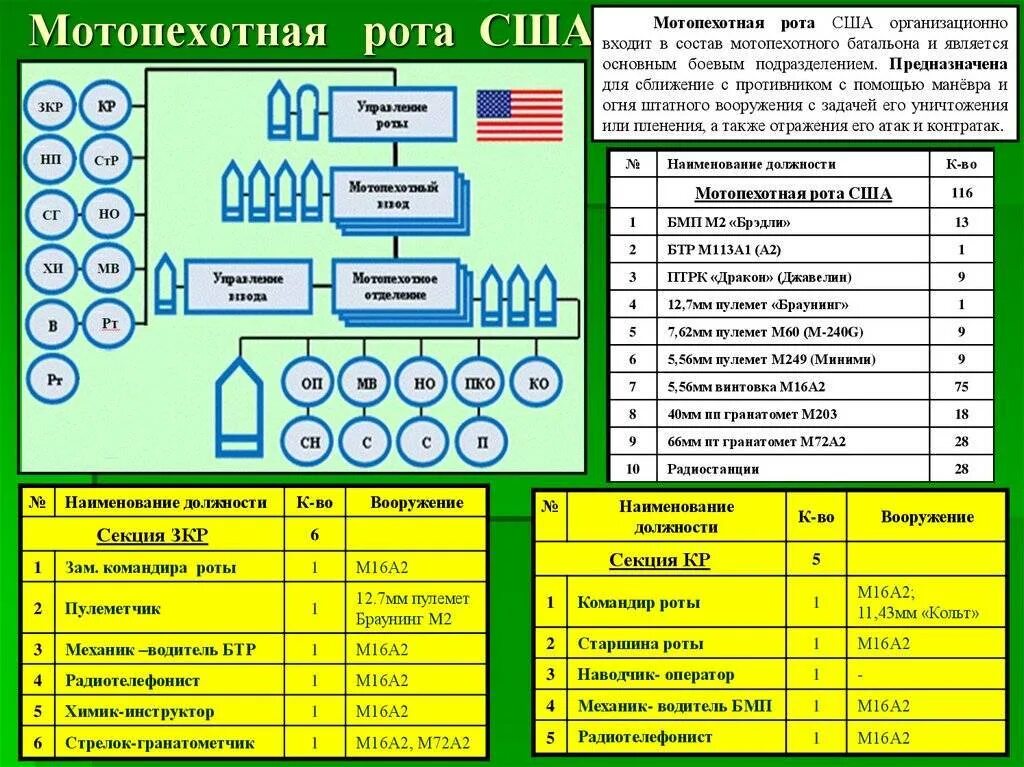 Входит в состав роты. Организационно-штатная структура мотопехотного взвода армии США. Структура мотопехотного взвода армии США. Организационно штатная структура мотострелкового батальона США. Организационно-штатная структура мотопехотного батальона армии США.