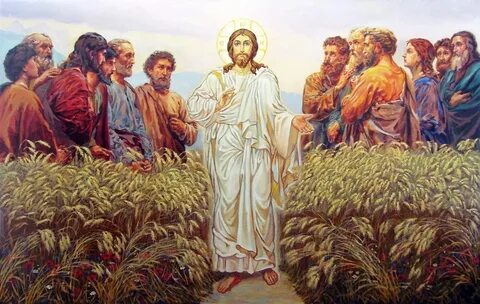 Поле греха