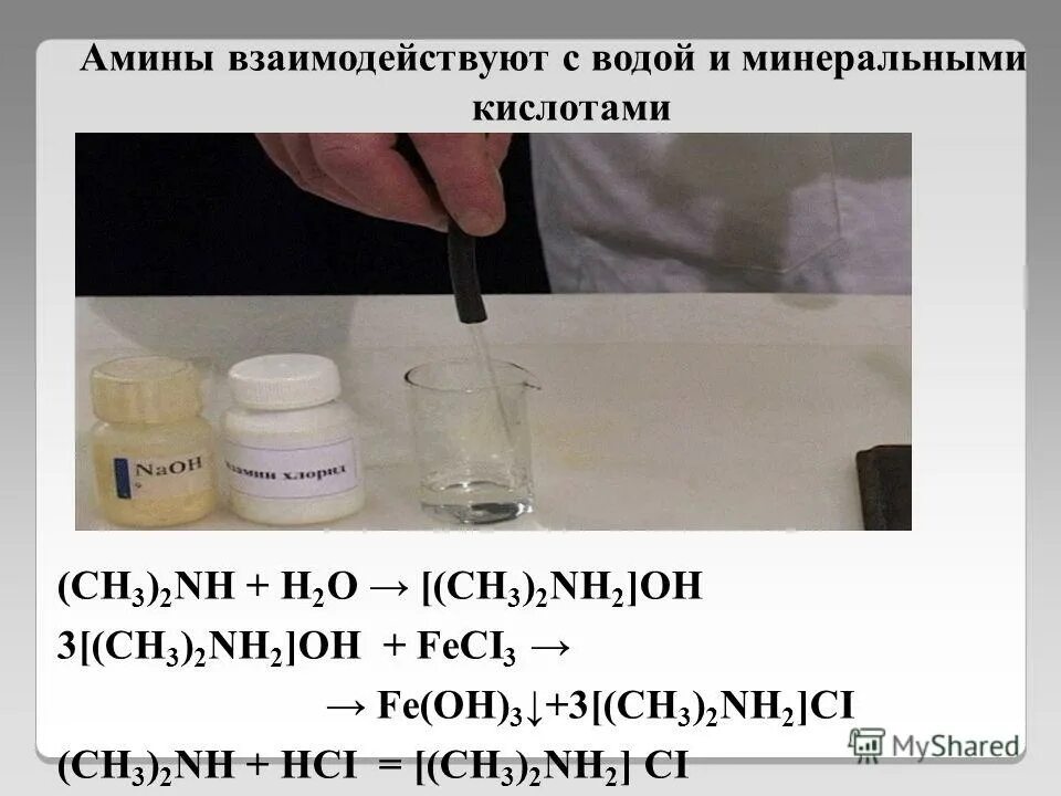 Вода способна реагировать. Амины взаимодействуют с водой. Амины взаимодействие с водой. Взаимодействие Аминов с водой и кислотами. Взаимодействие с водой и кислотами. Амины.