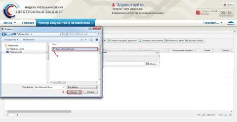 Реестровая запись в электронном бюджете