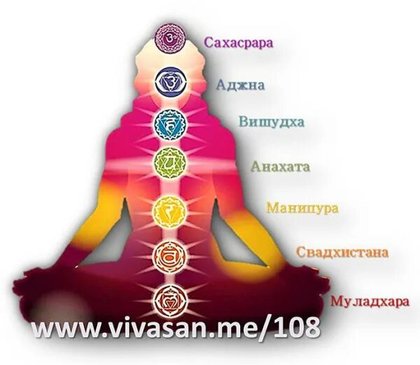свадхистана чакра. эфирные масла по чакрам. чакры и эфирные масла таблица. чакры и эфирные масла таблица. сакральная чакра.