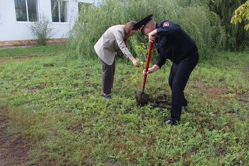 Школьники должны были посадить 200 деревьев они. Красный Кут субботники. Экологическая полиция. Посадка деревьев в МЧС. Субботник в кр Куте.