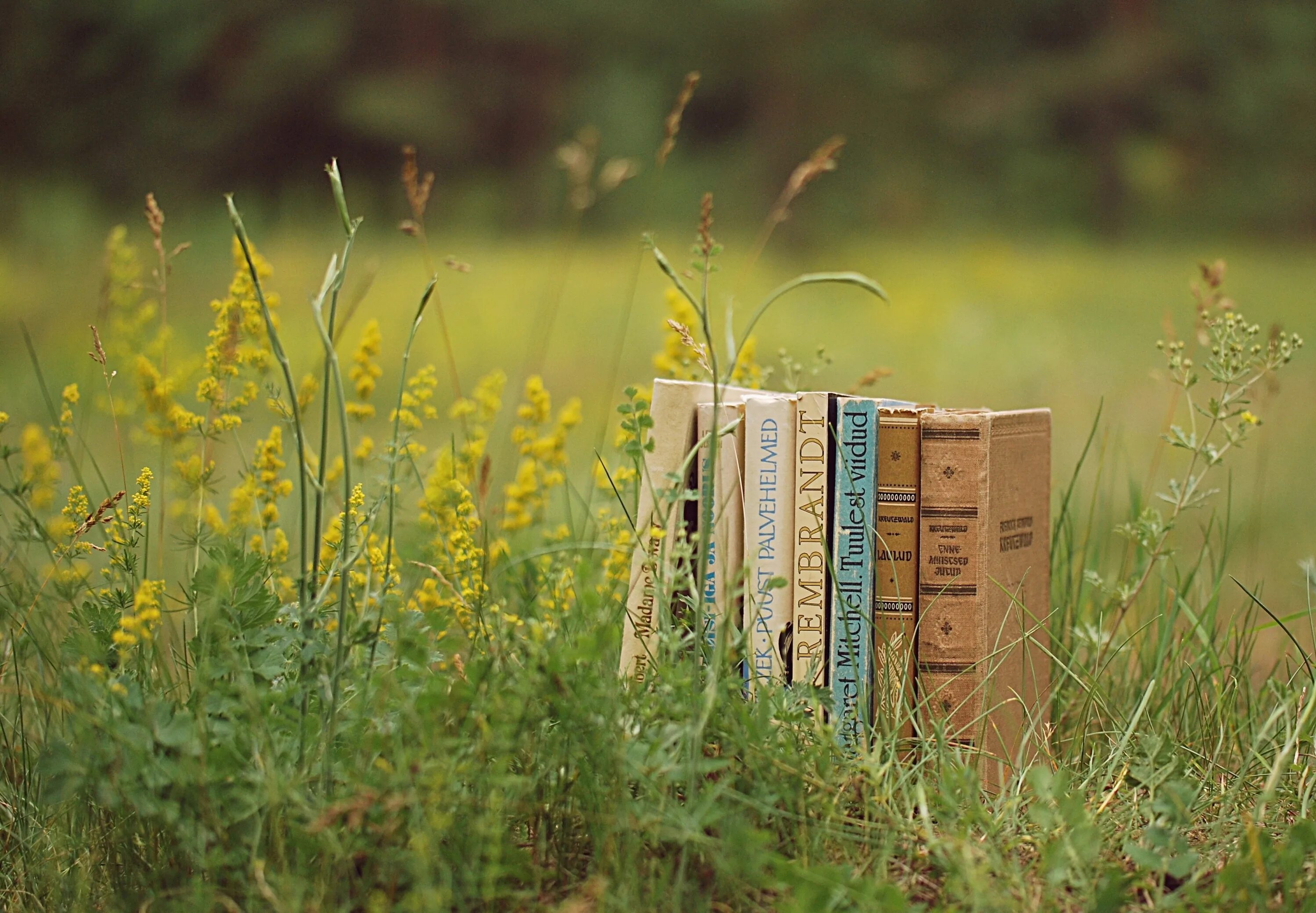 Вк русские книга. Лето с книгой. Книга природа. Книга на траве. Книжки про природу.