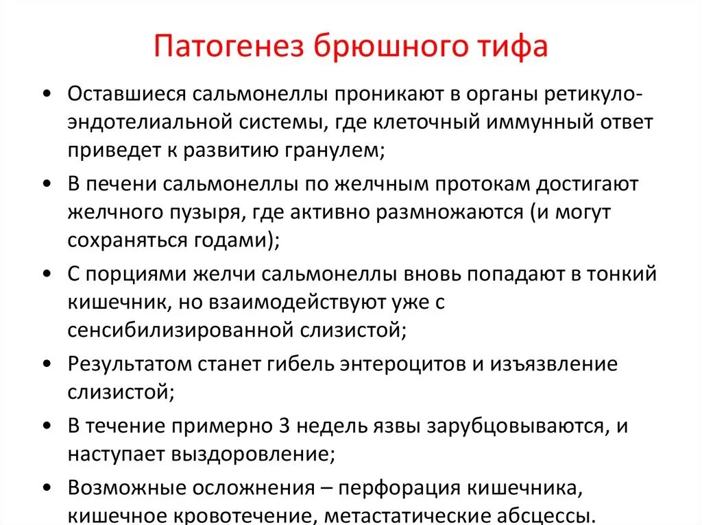 Salmonella typhi патогенез. Брюшной тиф патогенез кратко. Брюшной тиф патогенез схема. Патогенез тифа и паратифов. Сальмонеллез и брюшной тиф