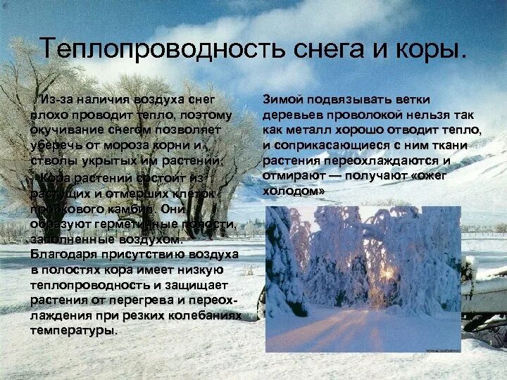 Теплопроводность снега. Теплопроводность снега и воздуха. Теплоизоляционные свойства снега. Коэффициент теплопроводности снега. В сугробе тепло основная мысль