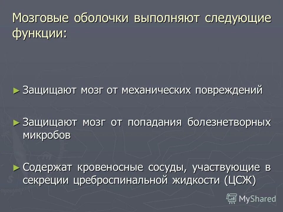 Функции мембраны клетки. Функции наружной клеточной мембраны. Функции биологических мембран. Функции мембраны клетки. Функции биологических мембран физиология.