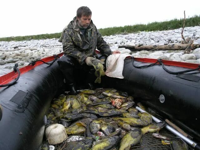 федерация рыболовного спорта хакасии. флаг федерации рыболовного спорта. ассоциация охотников и рыболовов республики башкортостан логотип. охотничье общество. общественные организации рыболовов.