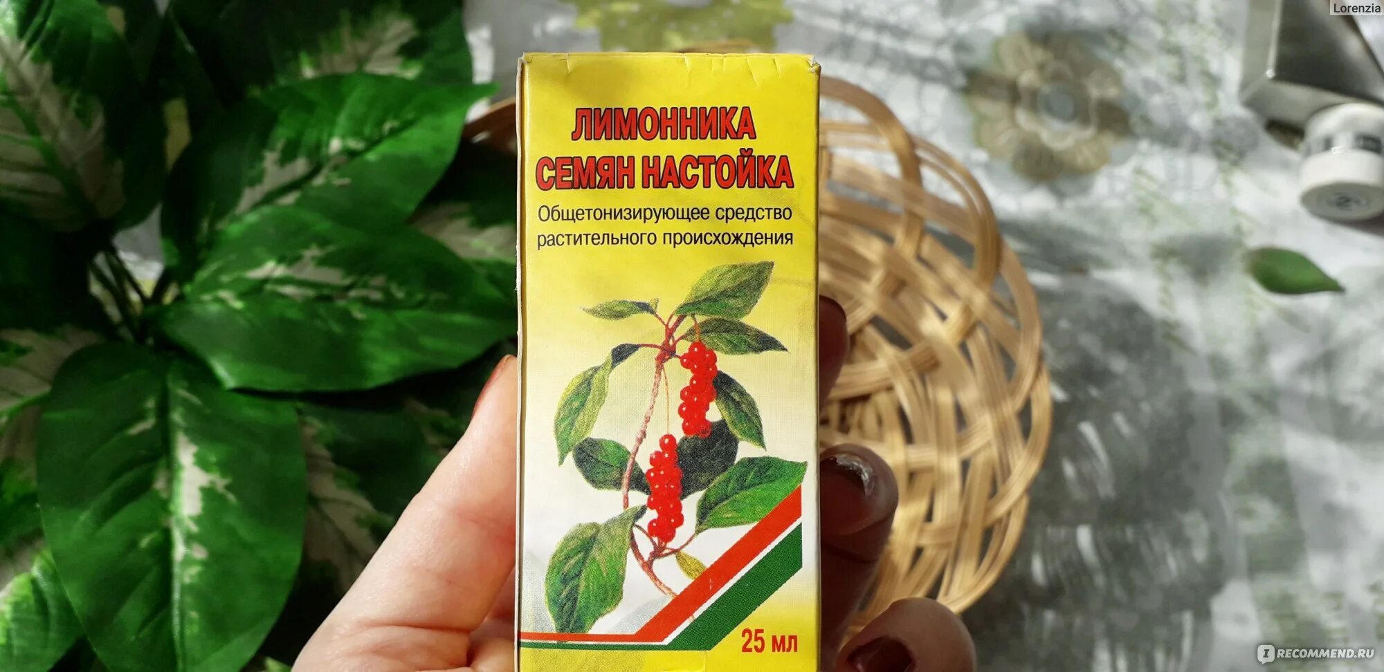 Настойка лимонника китайского применение. Лимонник дальневосточный. лимонник дальневосточный в аптеке. корень лимонника. настойка семян лимонника.