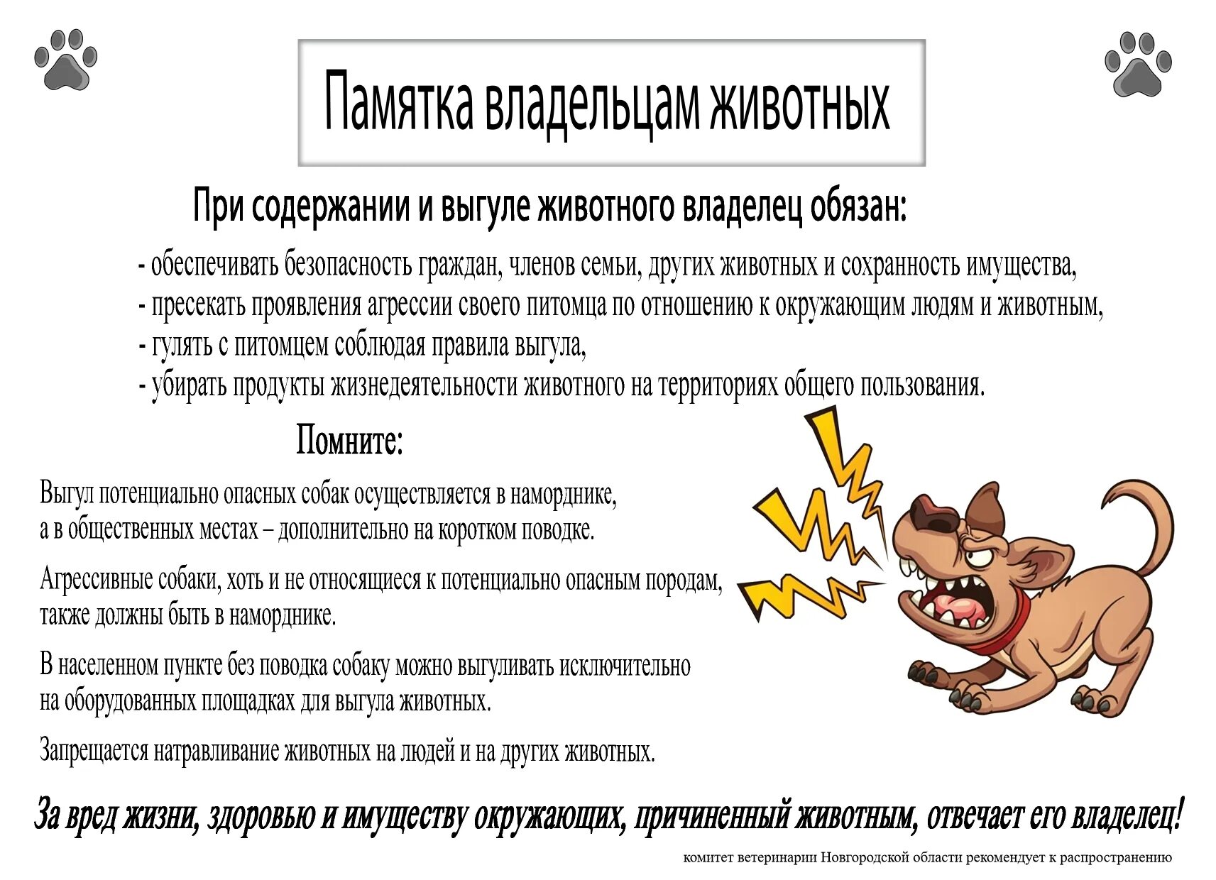 Владелец животного это