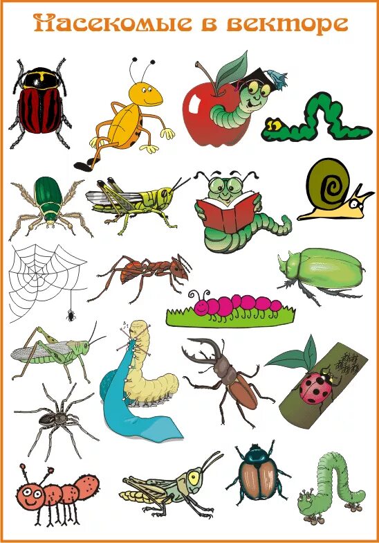 Насекомые тема детского сада. Насекомые для детей. Насекомые для детей дошкольного возраста. Насекомые рисунок для детей. Иллюстрации насекомых для детского сада.
