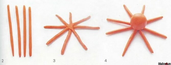 Лепка звезда средняя группа. Схема -лепка осьминога. Лепка осьминога из пластилина. Лепка морская звезда в старшей группе. Лепка морская звезда в подготовительной группе.