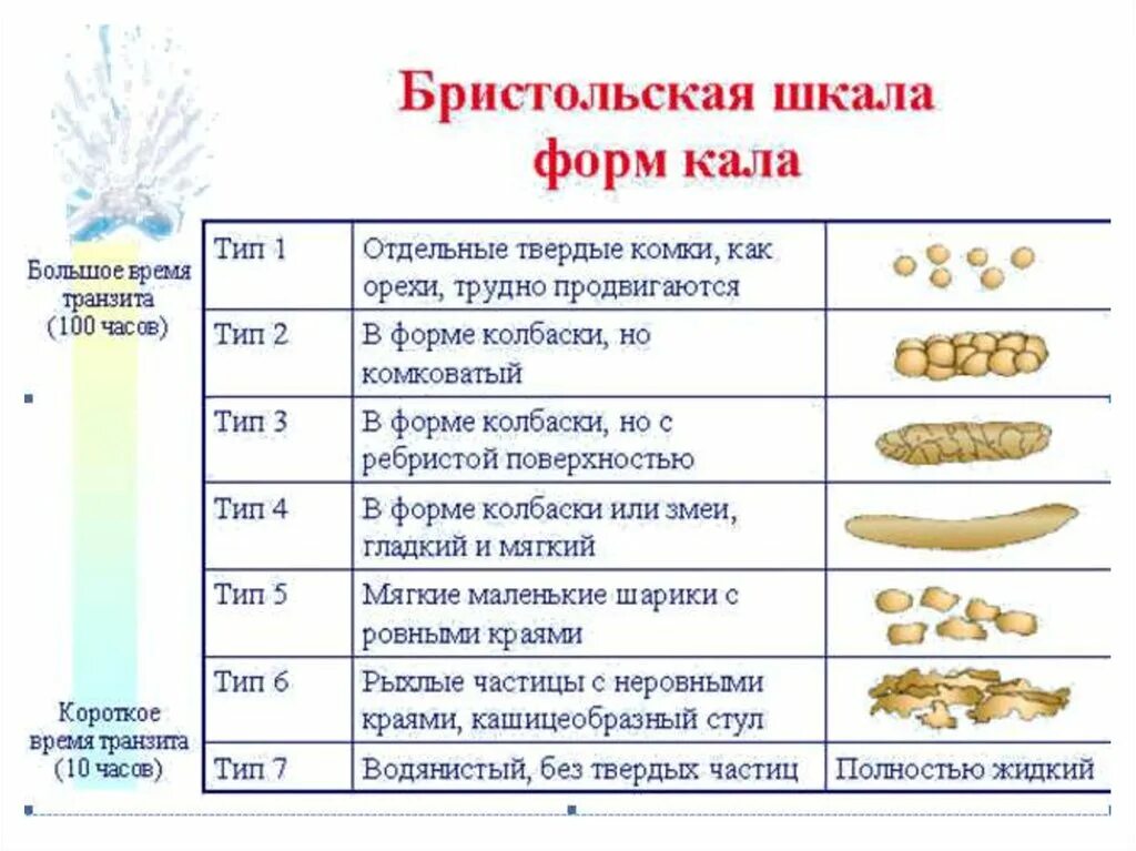 Шкала кала по бристольской шкале. Бристольская шкала формы стула Тип 2. Бристольская шкала формы кала 4. Бристольская шкала кала Тип 1. Бристольская шкала кала 6 Тип.