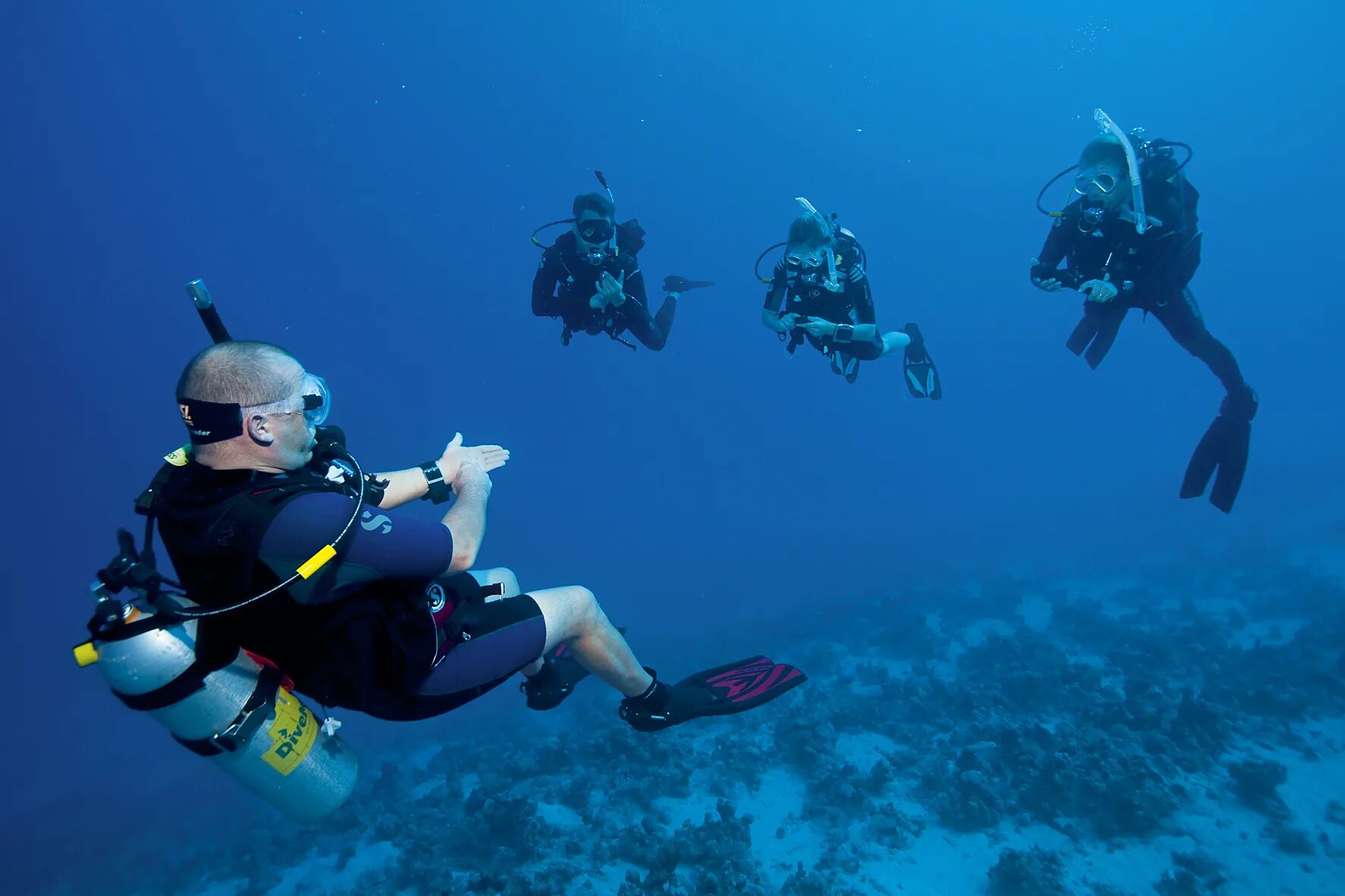 опен дайвер. опен ватер дайвер пади. опен дайвер. адвансед опен ватер дайвер. Padi advanced open water diver.