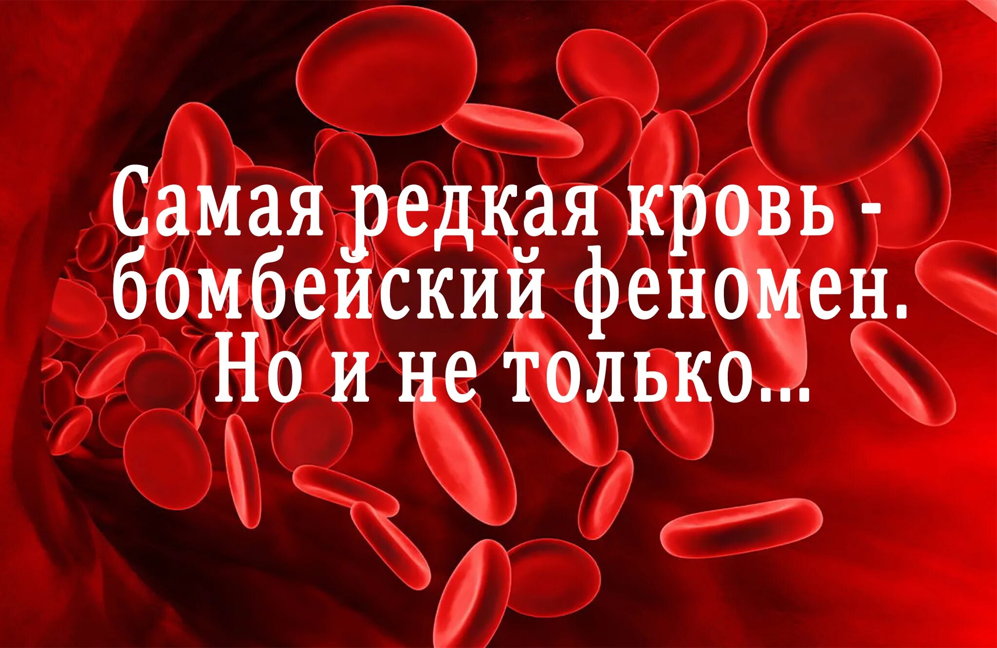 Группа крови сами редки. Редкая кровь. Редкая группа крови. Самая редкая группа крови. Самая самая редкая кровь.