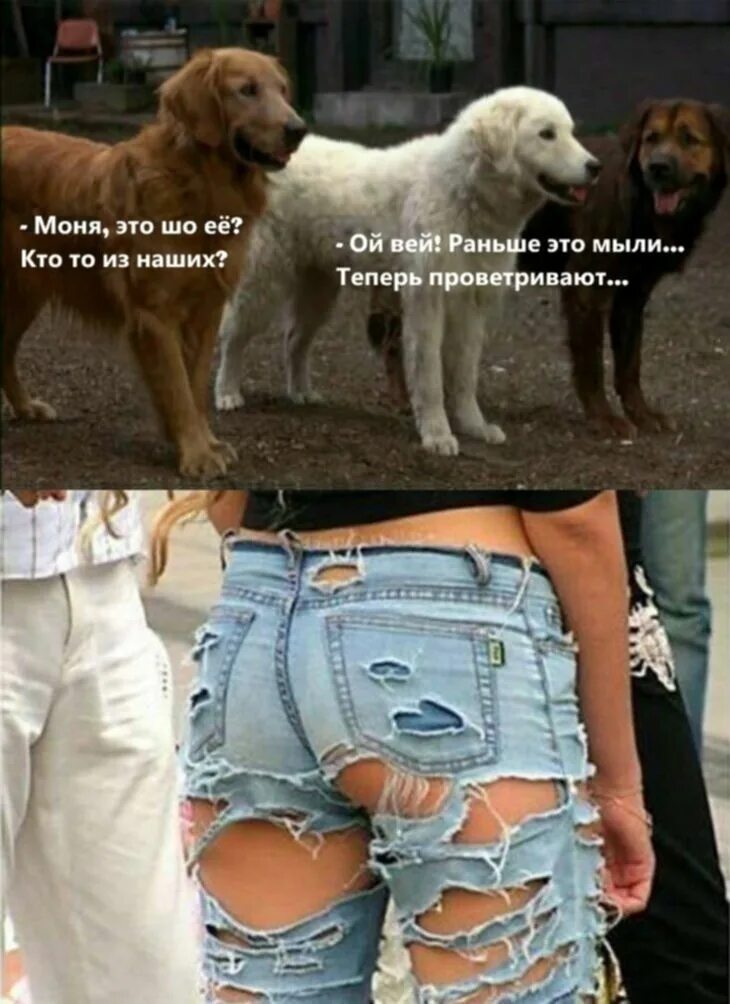 Жизнь зашибись
