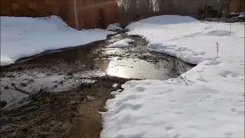 Текут ручьи летят шумные