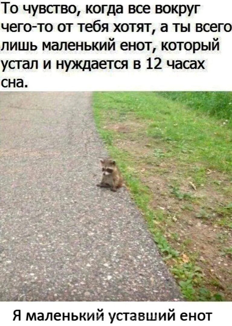 Чуть меньше текста