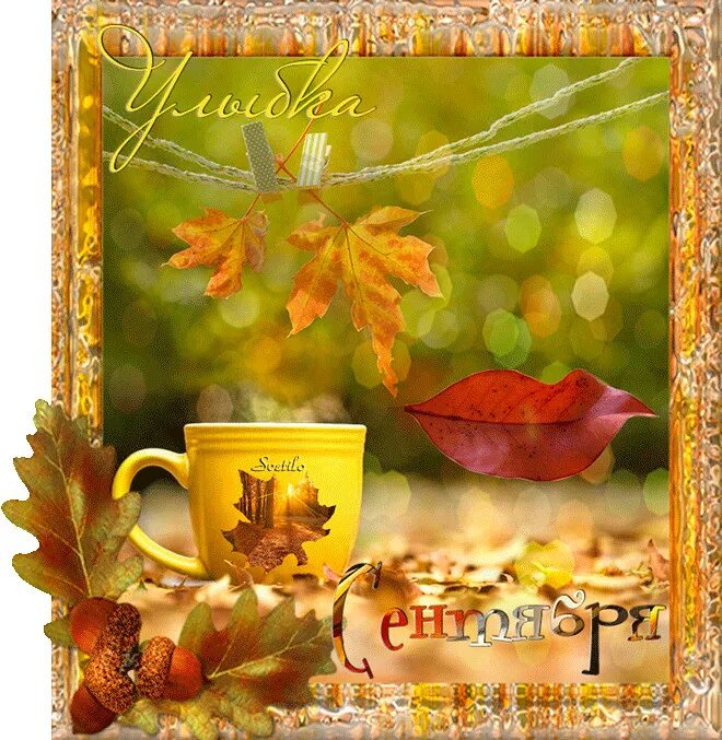 Добро утро сентября. Доброго осеннего дня. Осенние открытки. Доброго теплого осеннего дня. Чудесного осеннего утра и дня.