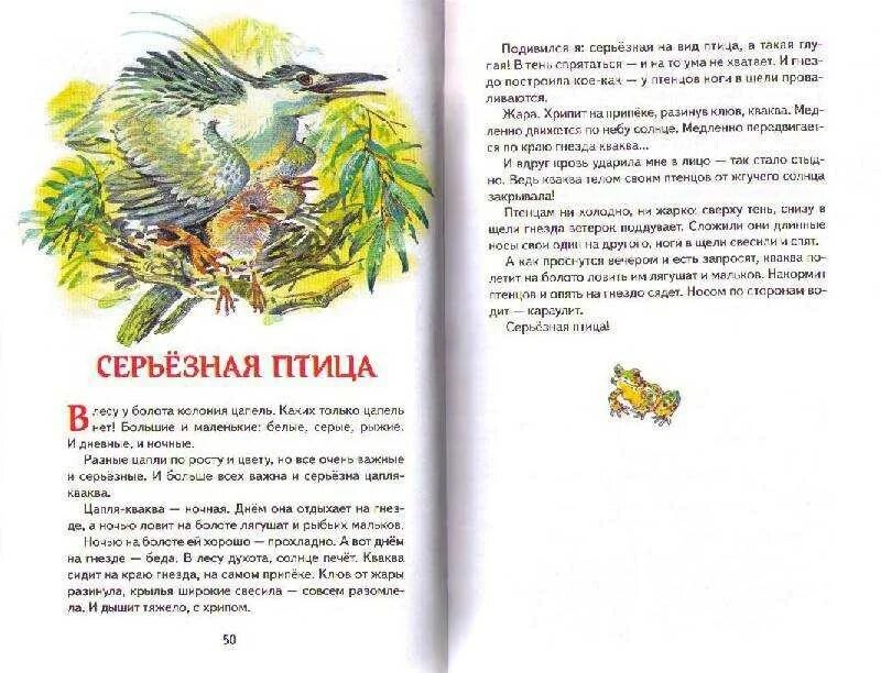 И. Сладков рассказы о природе 2 класс. Сказки н. Рассказы про животных сладкова. Сказки николая сладкова.