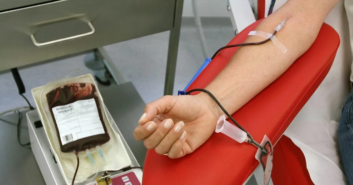 Донор крови для пострадавших. Kan bağişi.