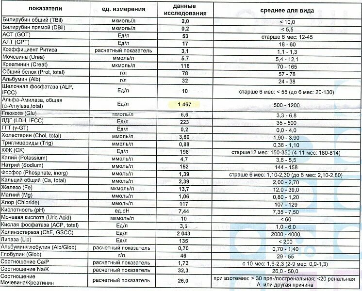 Мочевина кислоты анализ крови норма. Билирубин в биохимическом анализе как обозначается. Билирубин на латинском в анализе. Биохимия мочевая кислота норма.