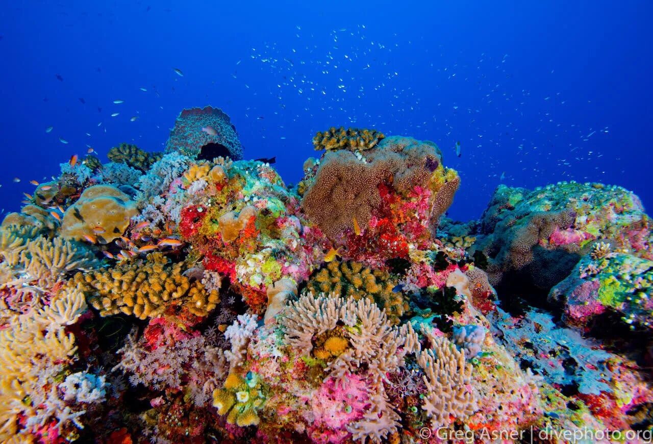 Лагуна кораллового рифа. Коралловый риф в Мексике. Коралловое море риф Тагула. Большой Барьерный риф в коралловом море.