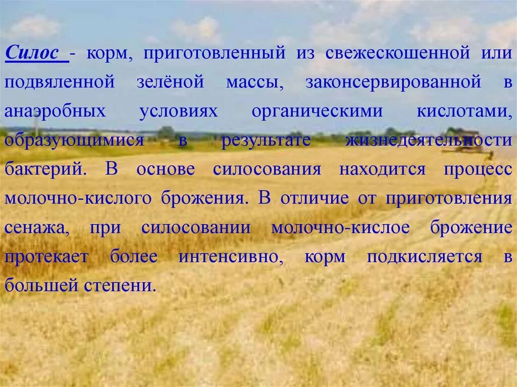 Чем сенаж отличается от сена. Технология заготовки силоса. Технология приготовления силосуемых кормов. Технология заготовки кормов. Технология производства силоса и сенажа.