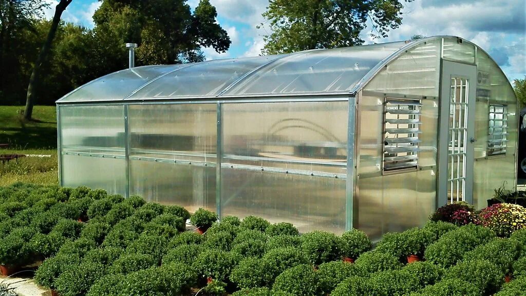 Купить теплицу в санкт петербурге. Теплица Перчина м. Теплица Greenhouse. Теплица Воля Бетта. Поликарбонатная теплица.