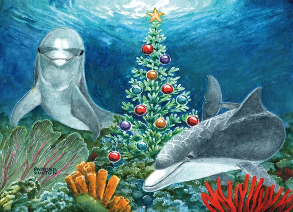 Dolphin christmas. Новогодние дельфины. Рисунок леночка дельфин и рождество. Дельфин рождество. Новый год касатка.