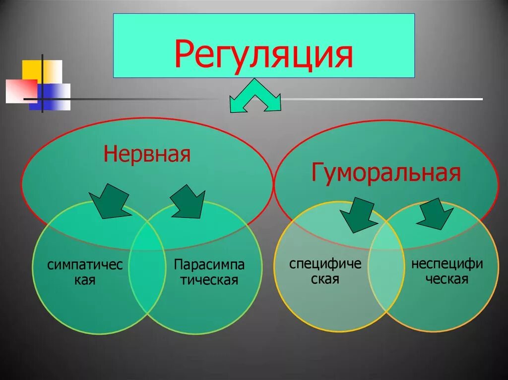 Нервная и гуморальная регуции. Нейроно гуморальная регуляция. Нервная и моральная регуляция. Нервная гуморальная и нейрогуморальная регуляция. Нервно гуморальная реакция