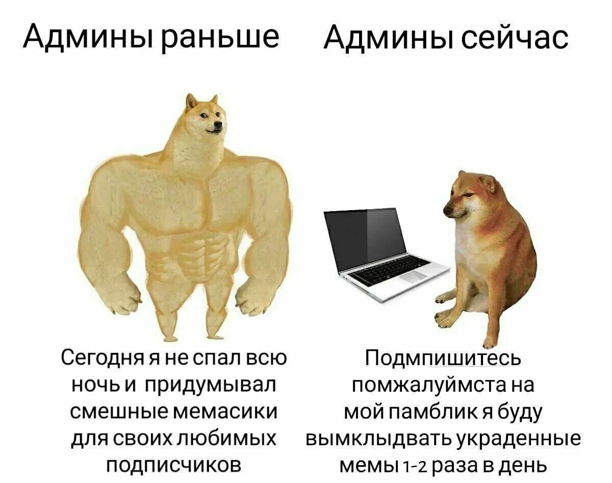 Админ сообщение. Мемы про сайты. мемы про админа. devops мемы. мемы про индивидуальный проект.