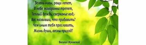 Зелень нивы